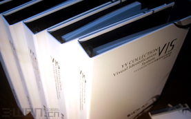 企业形象设计的基石 全面解读VI与VIS设计及其应用